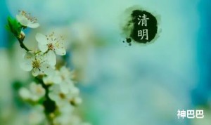 清明节是不是24节气里面的