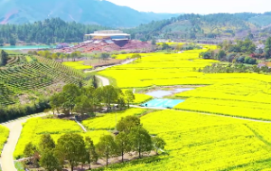 天上火命适合佩戴什么