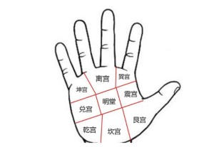 手相中哪些部位最重要图解
