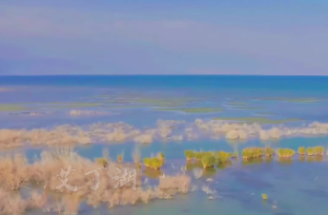  禄存文曲在命宫