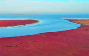 山火贲卦对财运的启示