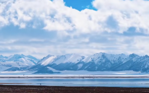 八字泄天机这本书怎么样