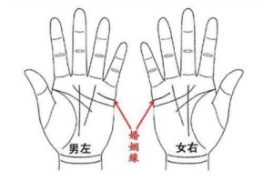 婚姻线看哪只手