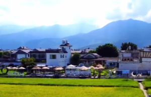 八字学历高低看哪一柱