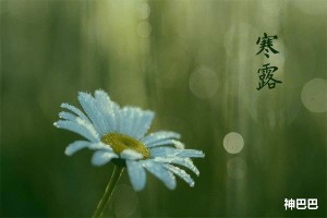 寒露节气是秋天还是冬天开始