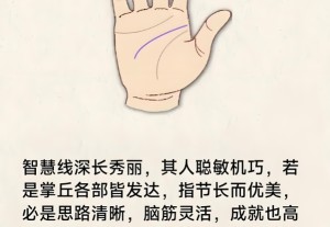 智慧线很长代表什么