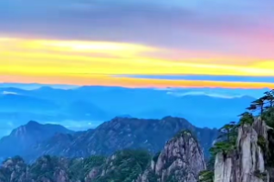 鼠对应的天干地支