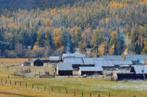 女命看婚姻吉凶断语