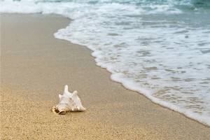 梦见海岸是什么意思？