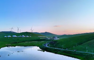 红鸾、天喜、天虚、天哭分别是什么