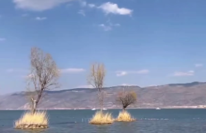 正官在十神里的作用与意义