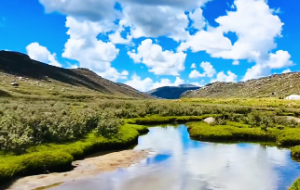 5两二钱是什么命