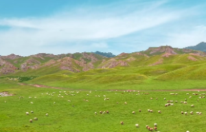 骨髓煞是什么意思