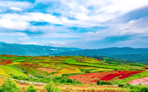 女人天上火命如何？