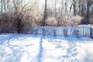 梦见雪有足迹或融化是什么意思？