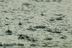 梦见梅雨是什么意思？