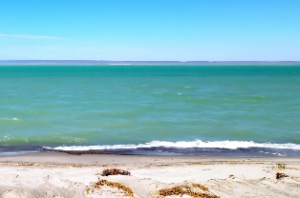 日丽中天格成格条件