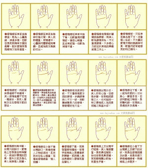感情线详细图解