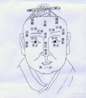 面相十二宫图解详细