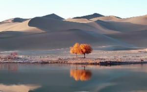 夫妻宫相冲的两个人