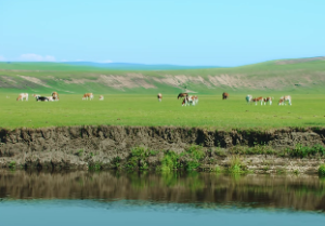 紫微斗数之各星曜所主行业是什么