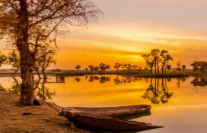 周易第53卦风山渐卦详解