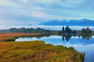 科技型公司办公室布局