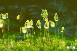 2022年大雪节气是哪一天开始