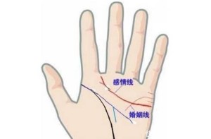 婚姻线和感情线有什么区别