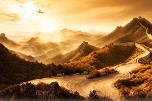 2025年10月11日出生的宝宝是什么命？命运如何？