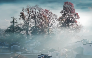 天机星代表身体哪个部位