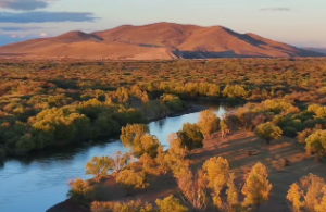 山下火的命运如何