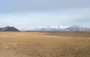 化忌星是什么意思