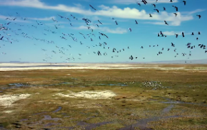 什么八字一生贵人运超强