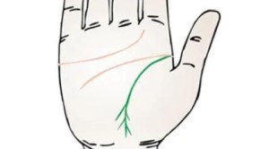 生命线末端分叉像树根代表什么