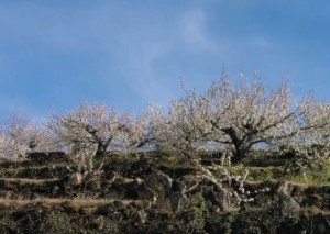 什么八字的人命中注定会晚婚?