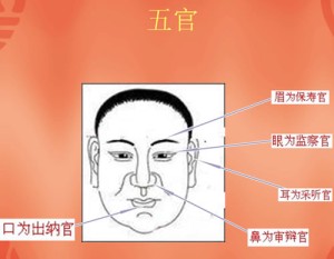 面相五官分析全解