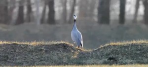 什么样的人学周易容易