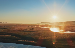  天干地支所代表的属性