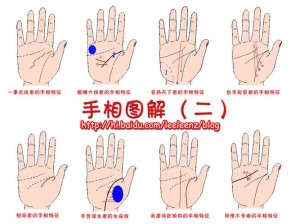 怎样看懂手相