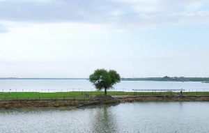 大林木命一般人压不住吗