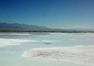 科星逢破格是什么