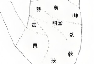手相中最重要的部位图解
