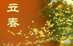 立春忌吃什么食物