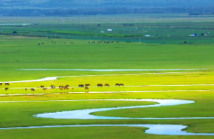 庚金遇什么能发财