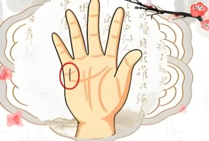 如何从手指看人的运势和财运