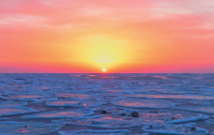 风地观卦详解国易堂