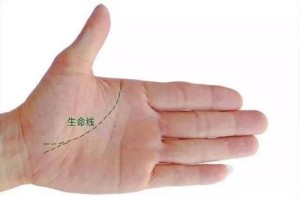 手掌生命线有分叉代表什么