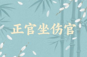 正官坐伤官算伤官见官吗