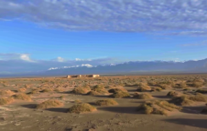  戌时生的女孩命运